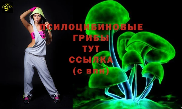 молекула духа Иннополис