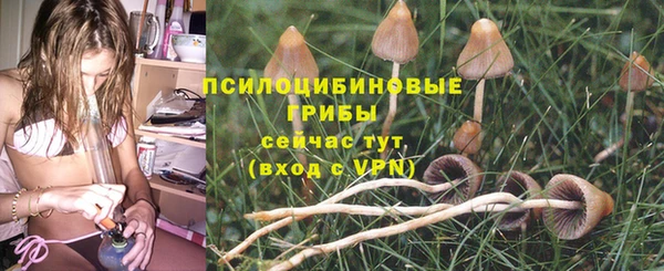 молекула духа Иннополис