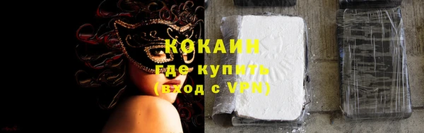 дурь Инсар