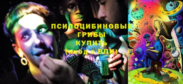 дурь Инсар