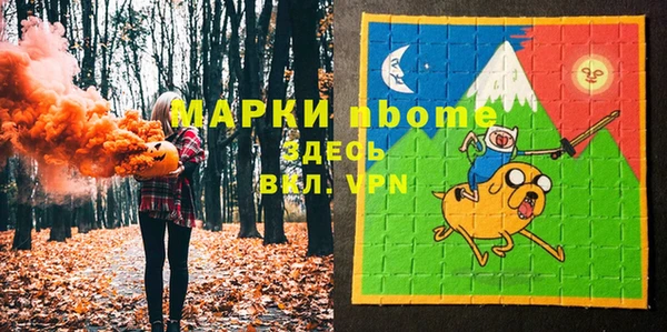 дурь Инсар
