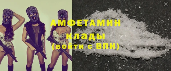 дурь Инсар