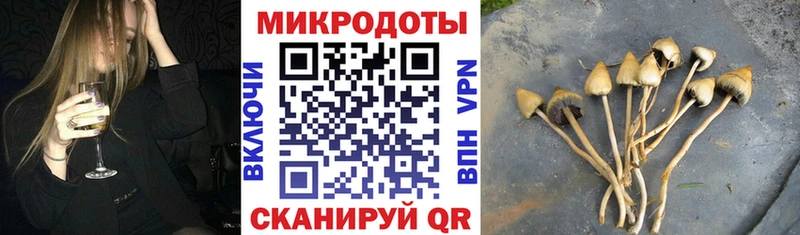 Купить где  Звенигород  Галлюциногенные грибы Psilocybe 