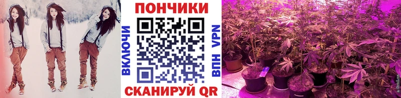 Каннабис Bruce Banner  Купить где  Звенигород 
